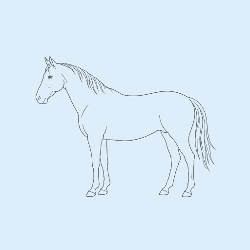 Guide cover image