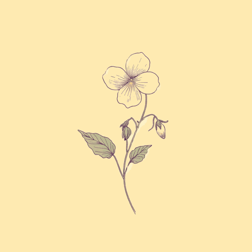 Fresh Water for Flowers Character Analysis SuperSummary