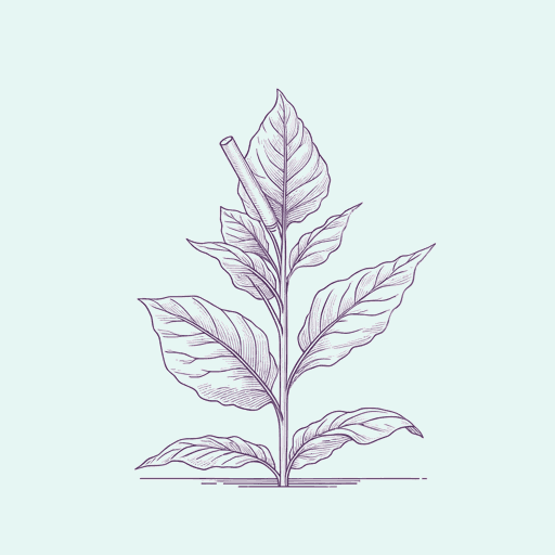 On Earth We're Briefly Gorgeous Summary and Study Guide | SuperSummary