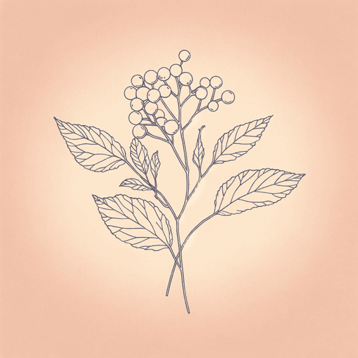 The Berry Pickers Summary and Study Guide | SuperSummary